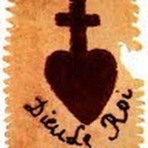 Meet your Posher, Misty